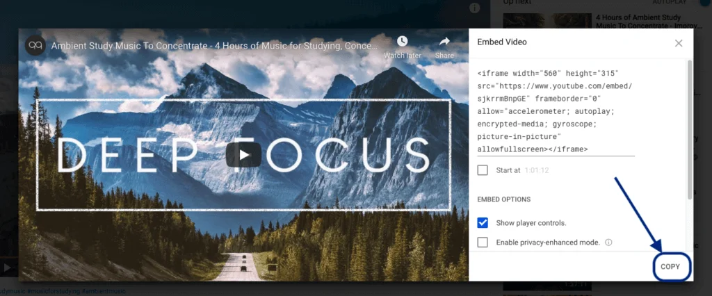 youtube API