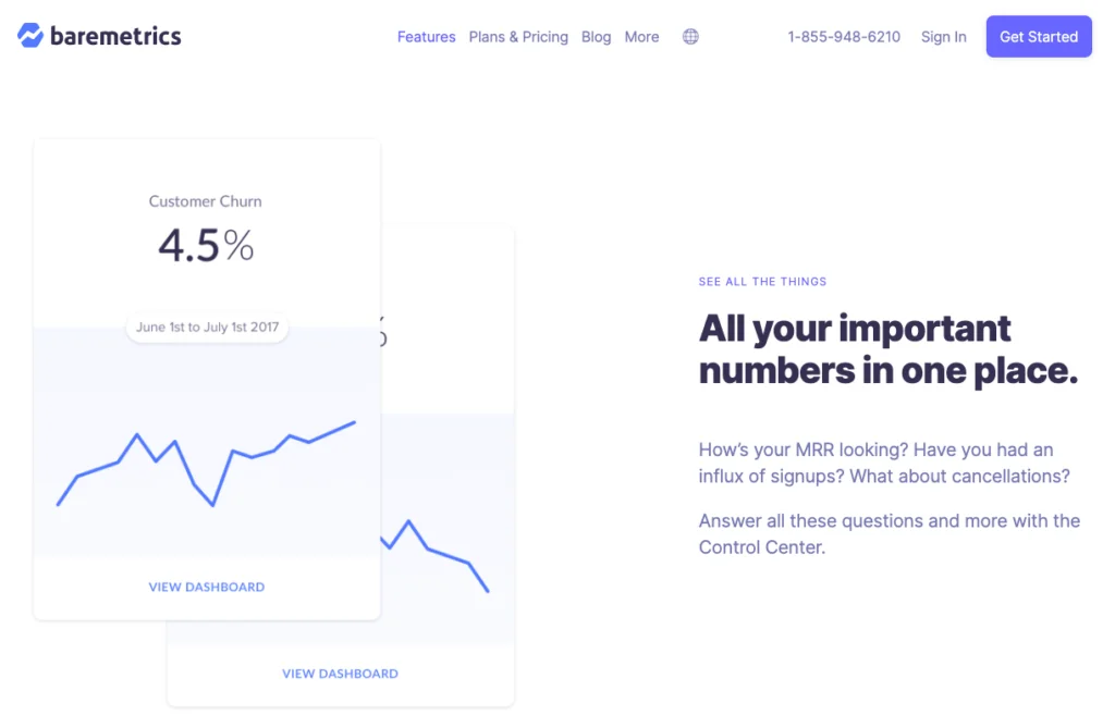 Use Baremetrics and Lean Analytics to track important metrics